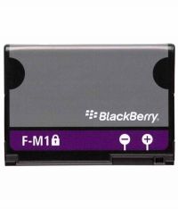 Аккумулятор Blackberry FM1, 9100 [Original]